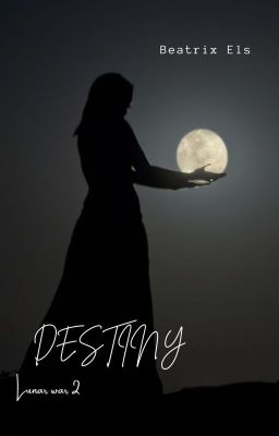 Destiny's Story cover