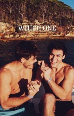 Which One | D.T cover