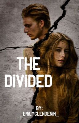 The Divided cover