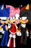 SonAmy or ShadAmy: I'll fight for you