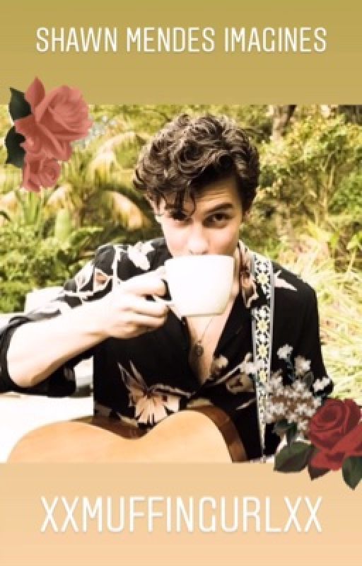 Shawn Mendes x Reader Imagines  by XxMuffinGurlxX