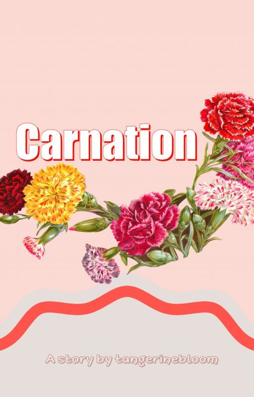 Carnation by tangerinebloom