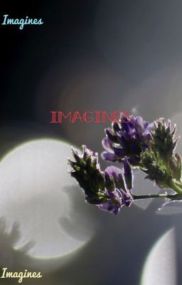 Imagines cover