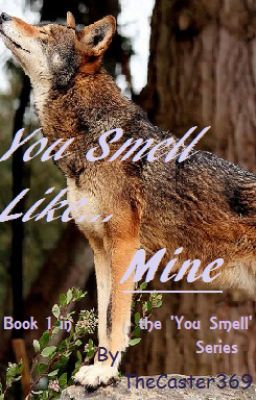 You Smell Like... Mine (Book 1 in the 'You Smell' series) cover