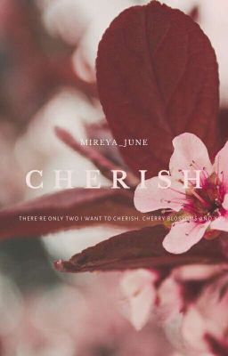 Cherish  cover