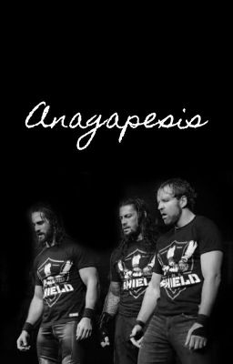 Anagapesis || The Shield x Reader cover