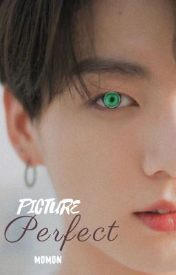 Picture Perfect | Jeon Jungkook ✔ cover