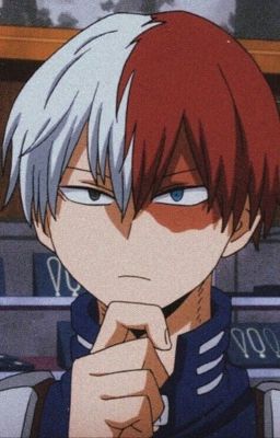 s t a l k e r  🥀  {Todoroki shouto x reader} cover