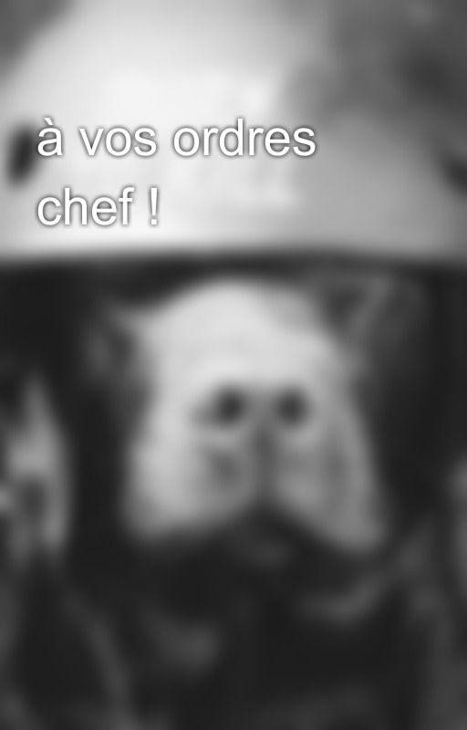 à vos ordres  chef ! by AlexandreRayban