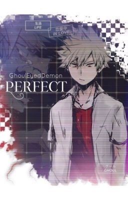 PERFECT| Katsuki Bakugo X Reader cover