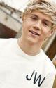 Niall Horan Fanfiction by Niallisawesome21