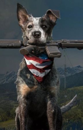 Farcry 5 but it's not farcry 5 by boiilikeSpaghet