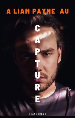 Capture  (A Liam AU) cover