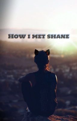 How i met Shane cover