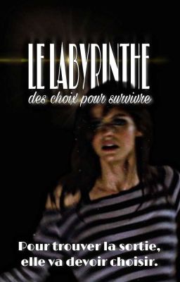 Le labyrinthe : des choix pour survivre cover