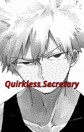 Quirkless Secretary [[BOOK TWO]] || Katsuki Bakugou x Fem!Reader by FritzKite