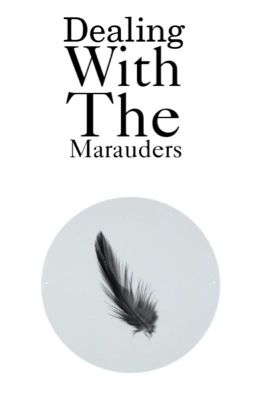 Dealing With The Marauders cover