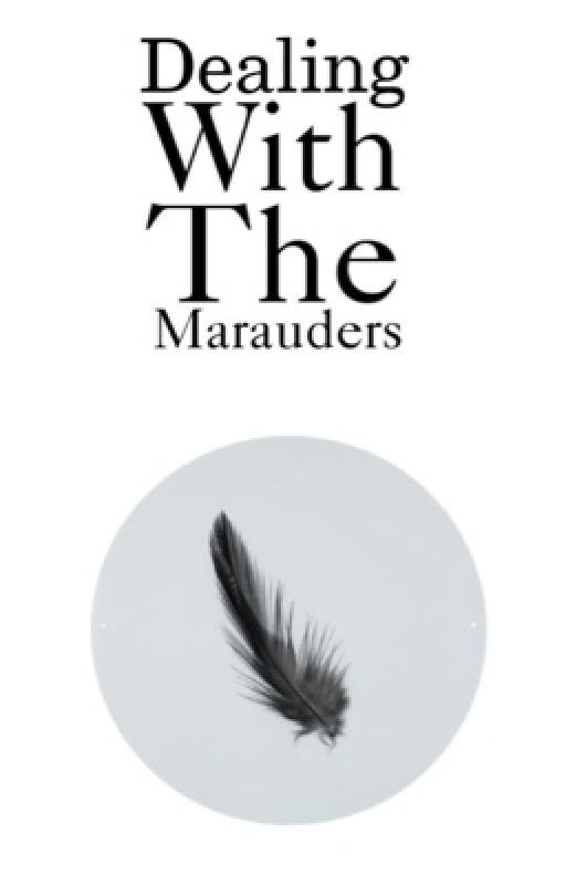 Dealing With The Marauders by silentbynature