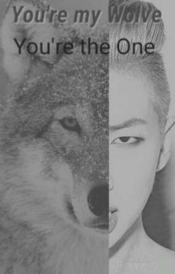 You're my Wolve... You're the One (Namjoon fiction) cover