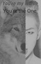 You're my Wolve... You're the One (Namjoon fiction) by obviouslykpopstuff