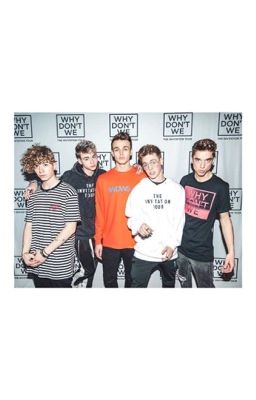 Adopted by the Why Don't We boys  cover