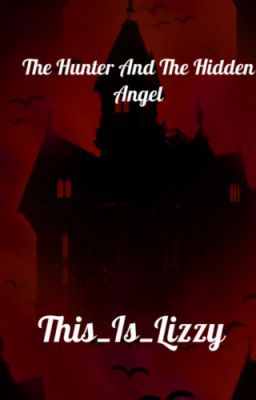 The Hunter And The Hidden Angel cover