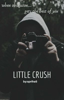 little crush [Haylor] cover