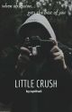 little crush [Haylor] by cherryonthetop04