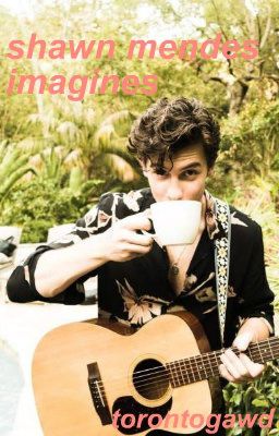 Shawn Mendes Imagines cover