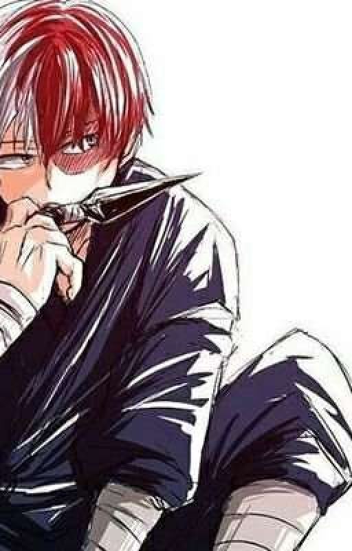 Villain Or Hero? Shoto Todoroki x Reader by HarmonyWriter0