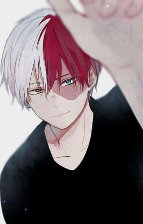 Stories to make your Heart Go TodoDOKI DOKI (Todoroki Shouto X Reader) by ari_todorokidoki