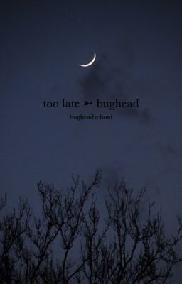 Too Late ➳ Bughead cover