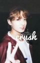 crush - jjk ✔ by kookieboi_