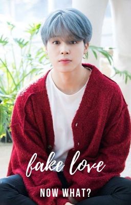 Jjk-FAKE LOVE-Pjm cover