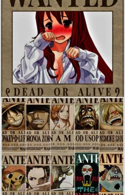 One Piece cover