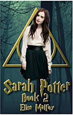 Sarah Potter (Book 2) cover