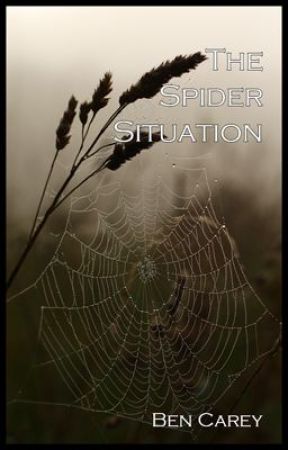 The Spider Situation by BenCarey