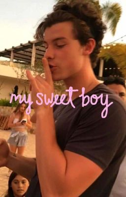 Shawn Mendes Imagines Part 2 {COMPLETED} cover