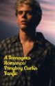 A Teenagers Romance/Ponyboy Curtis Fanfiction by AnotherOutsiderGirl