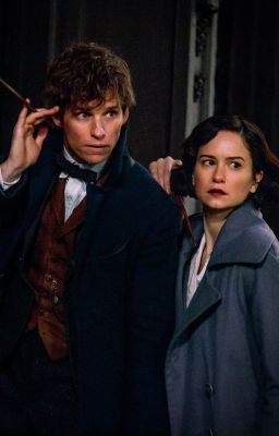 Crescendo: A Fantastic Beasts Newtina Fanfiction cover