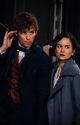 Crescendo: A Fantastic Beasts Newtina Fanfiction by xAtelox