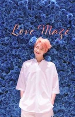 Love Maze (Kim Namjoon x Reader) cover