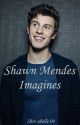 Shawn Mendes Imagines by shiz-abelle-04