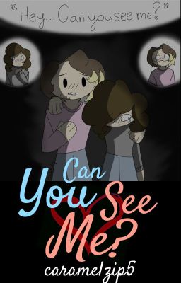 Can You See Me? (Game Grumps Fanfic) ✓ cover