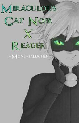 Miraculous Cat Noir X Reader  cover