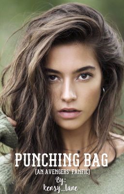 Punching Bag cover