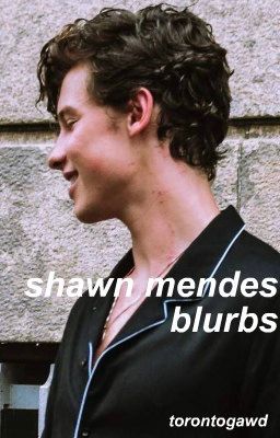 Shawn Mendes Blurbs cover