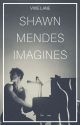 Shawn Mendes Imagines by VixieLane