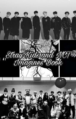 NCT & Stray Kids Imagines cover