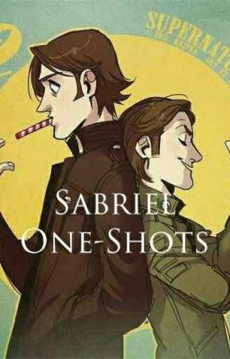 Sabriel One-shots cover